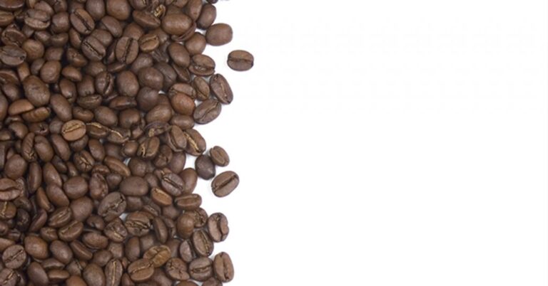 Is Coffee a Nut?