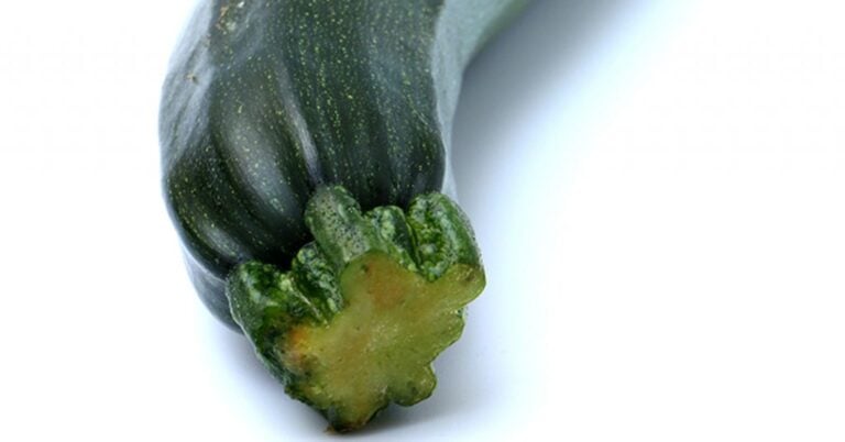 Is A Courgette Zucchini?