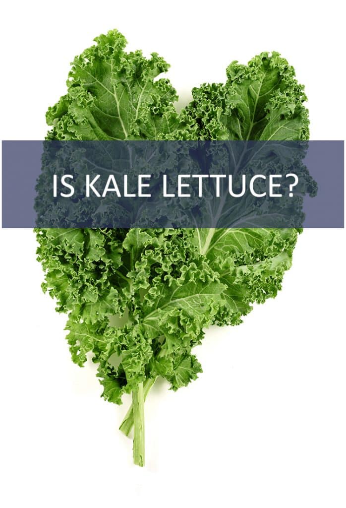 They’re both leafy green vegetables that can be the base of a salad. So, Kale is just a snooty word for lettuce, right?