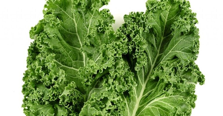 Is Kale Lettuce?