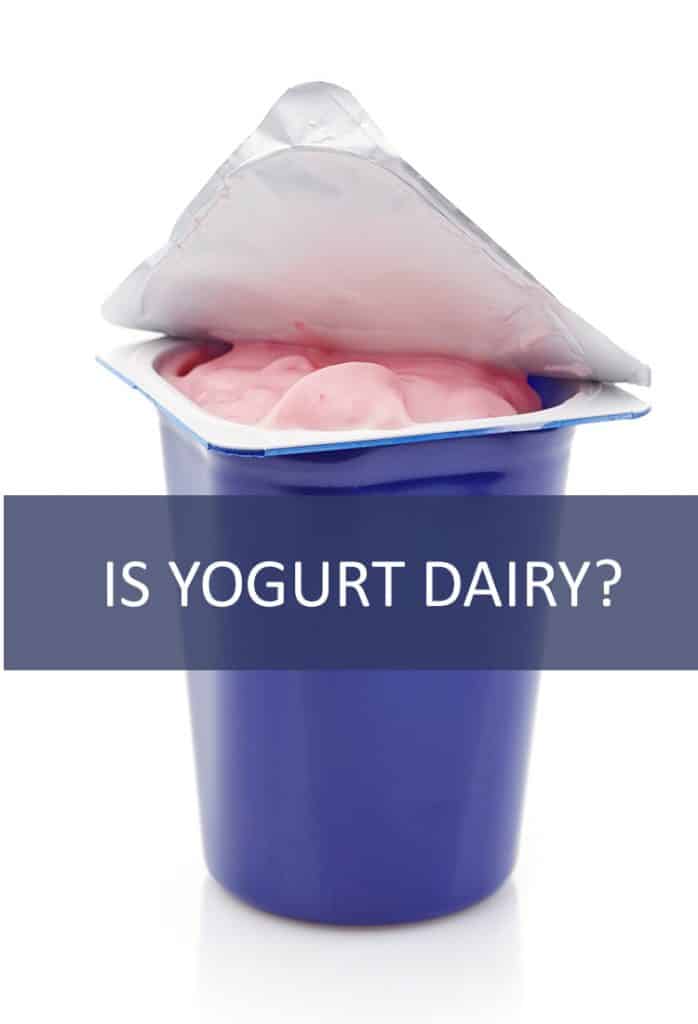 Yogurt is found in the dairy section at the supermarket, but is it actually dairy? Is yogurt safe for lactose-intolerant people?