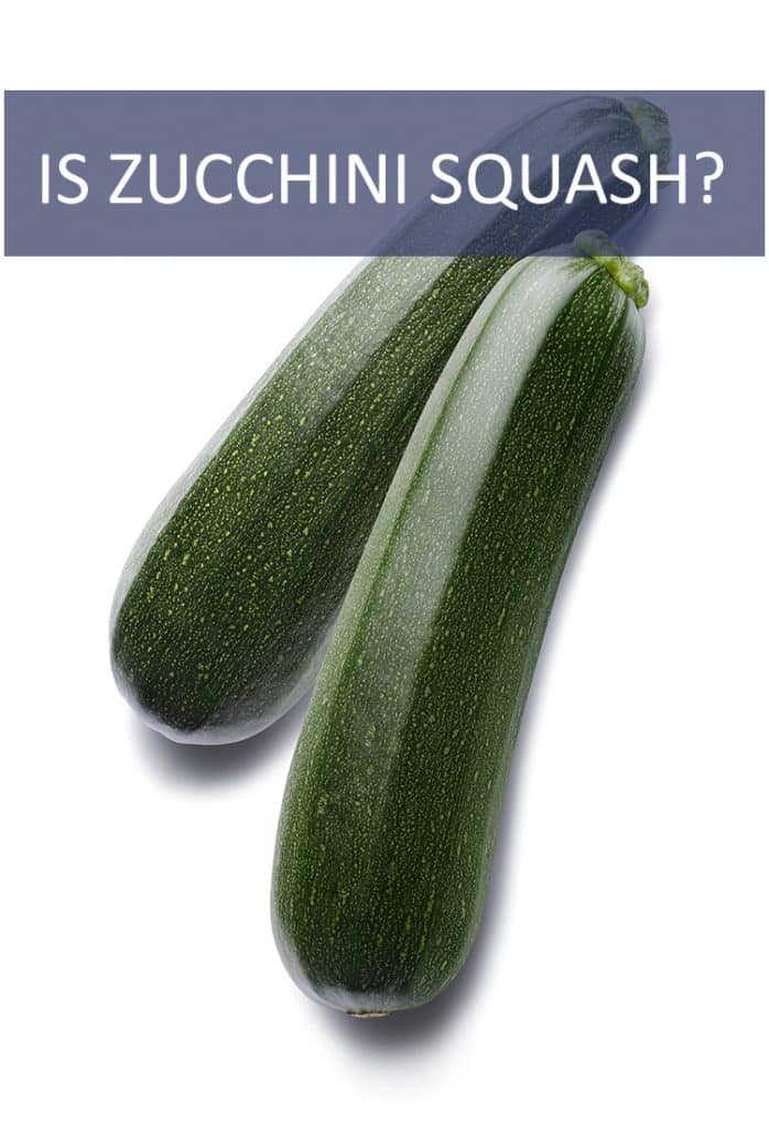 How does one classify a zucchini? The term zucchini squash gets thrown around a lot, but are zucchinis actually squash?