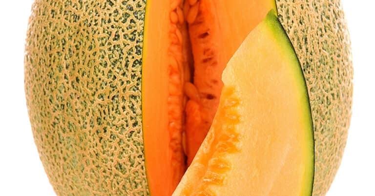 Are Melons Squash?