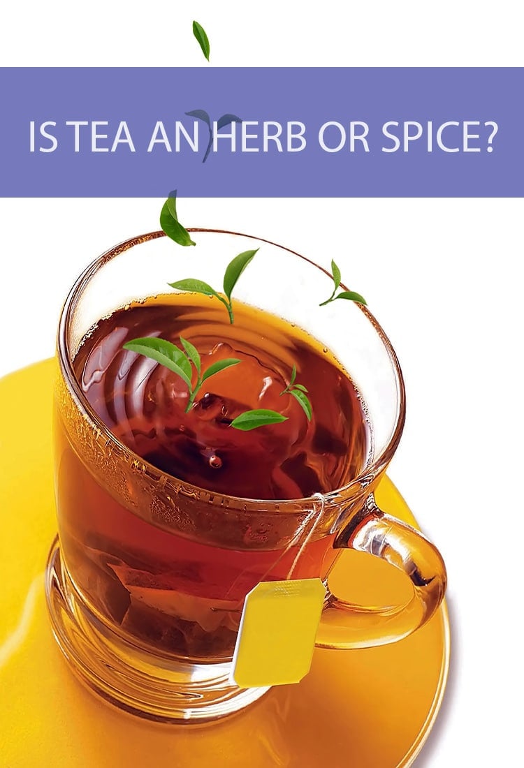 Before you steep that teabag into some water, ask yourself if what you’re dropping in is actually an herb, or is it a spice?