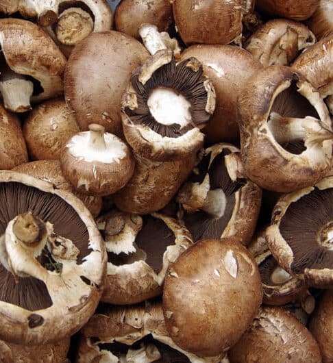crimini mushrooms