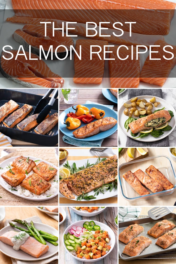collage of salmon cooked different ways