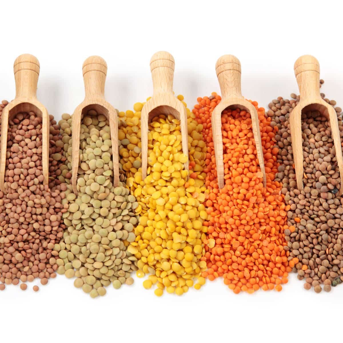 Indian Cooking 101: Different Types of Indian Dals (Legumes, Lentils,  Beans, Pulses)
