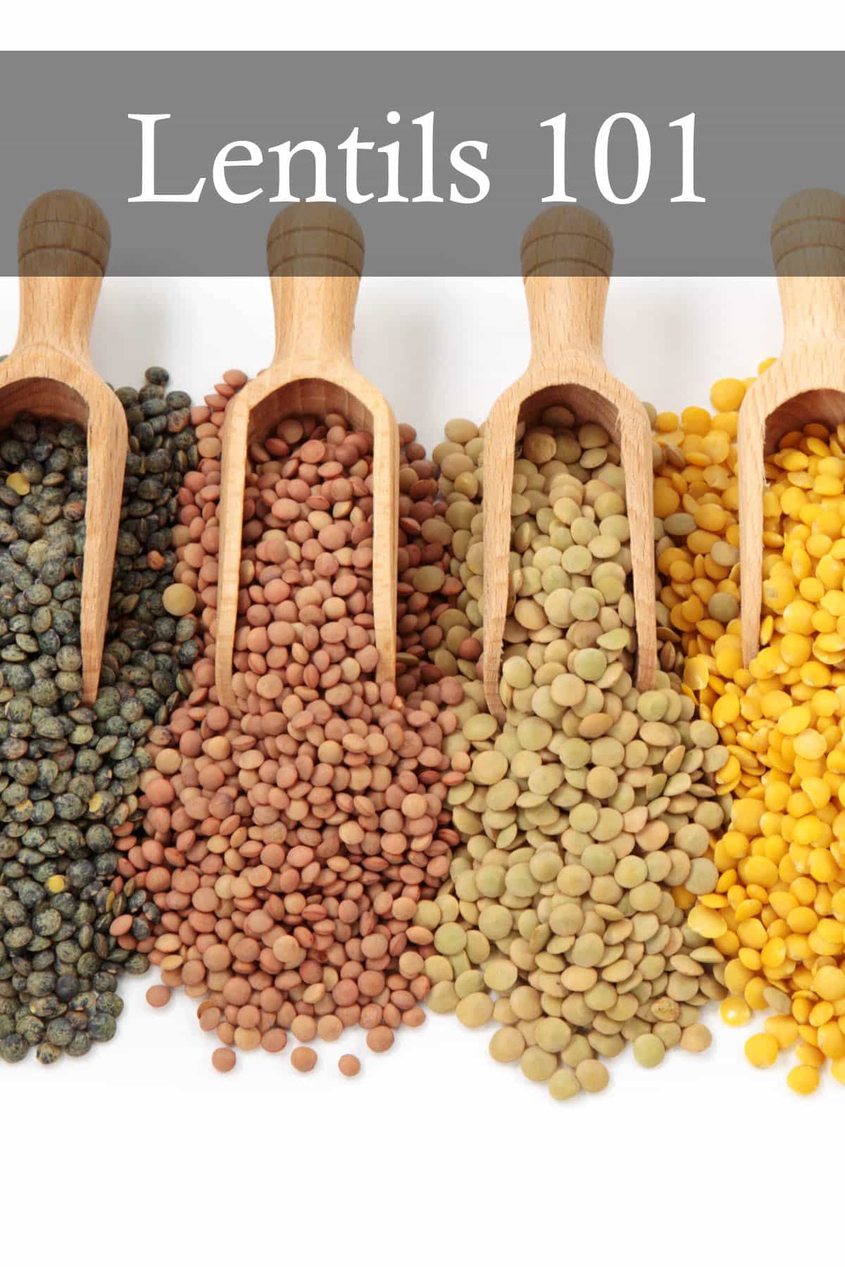 Lentils 101