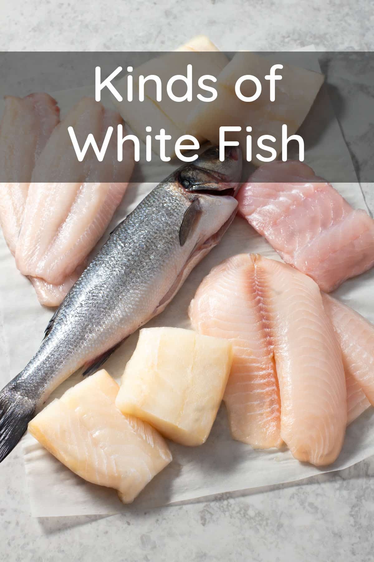 Kinds of White Fish