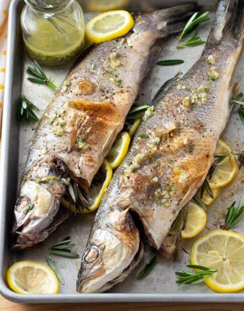 Two whole branzino on a sheet pan with sliced lemon and herbs.