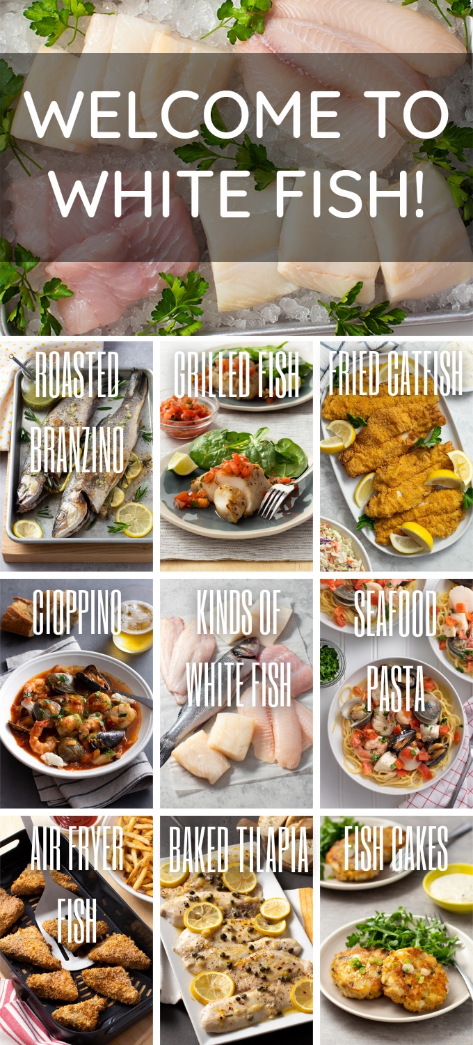 Collage of white fish recipes with titles, main text reads Welcome to White Fish!