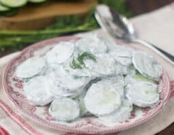Creamy Cucumber Salad on a red and white plate with fresh dill on top.