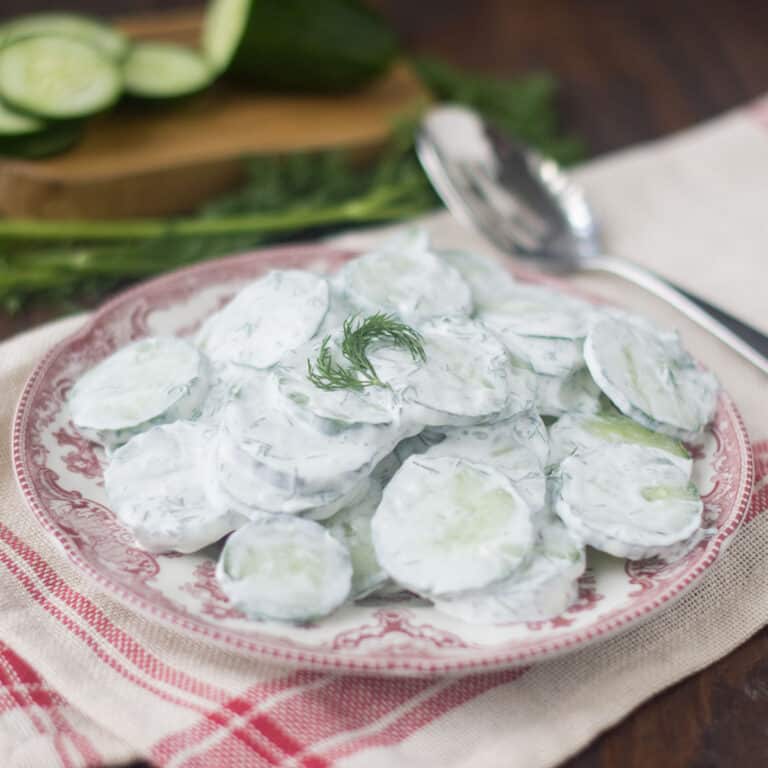 Creamy Cucumber Salad on a red and white plate with fresh dill on top.