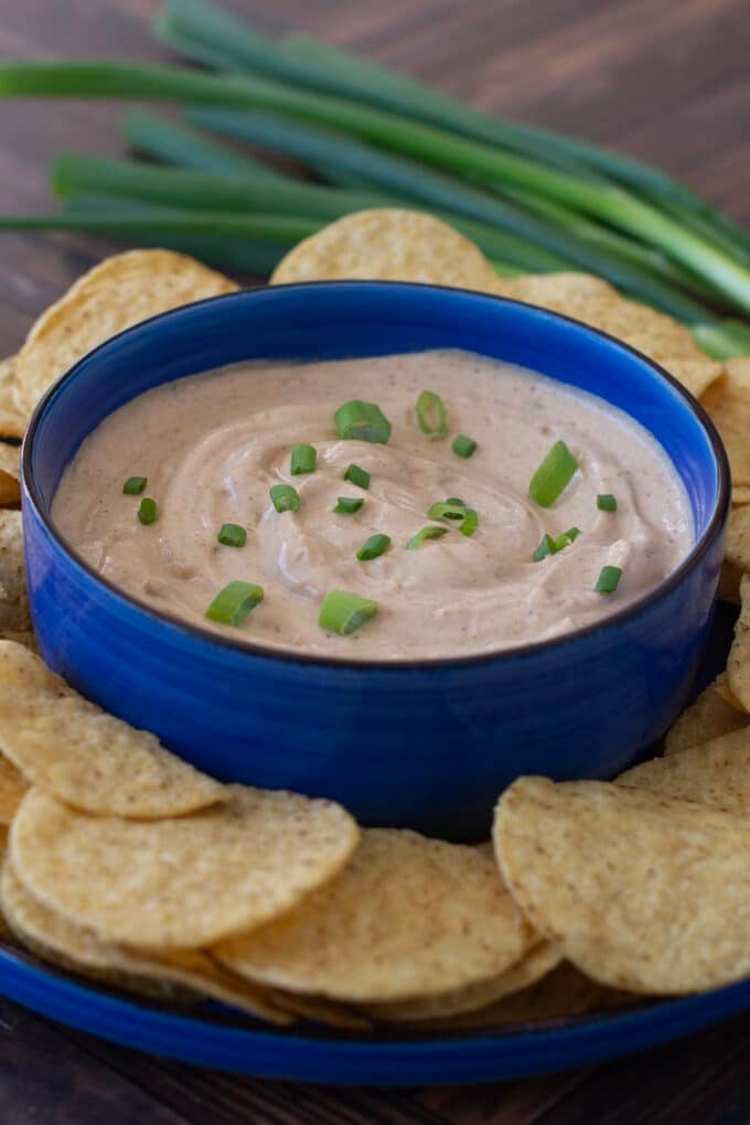 Blue bowl of cottage cheese queso surrounded by tortilla chips.