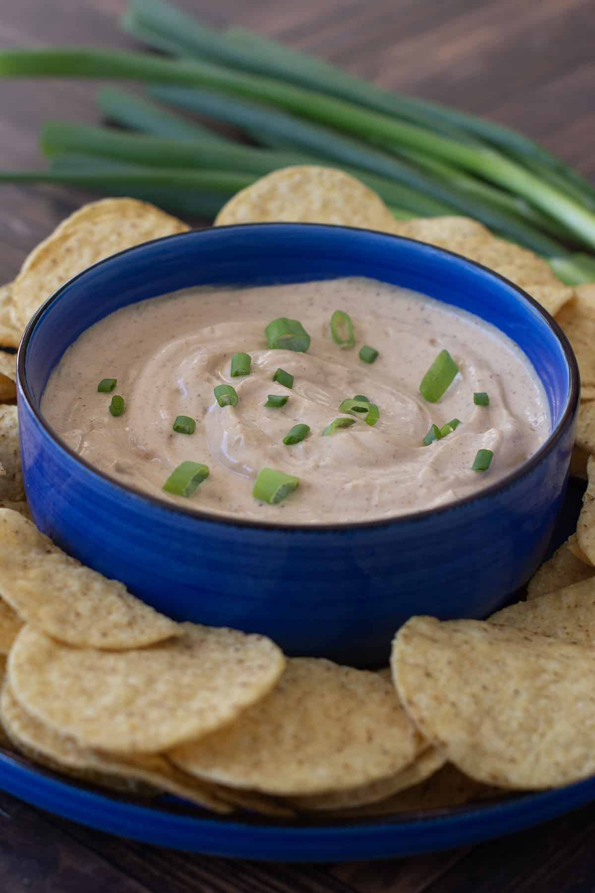 Cottage Cheese Queso Dip