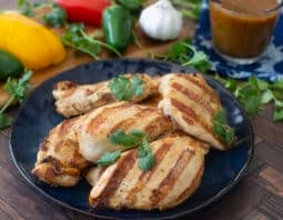 Marinated and grilled chicken breasts on plate.