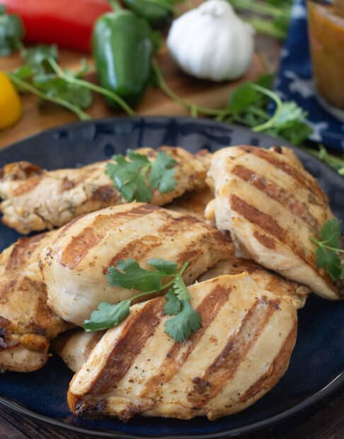 Marinated and grilled chicken breasts on plate.